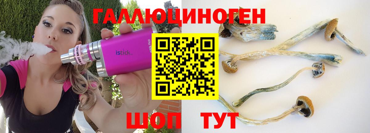 Баксан  где найти   Вход с VPN  Галлюциногенные грибы GOLDEN TEACHER 
